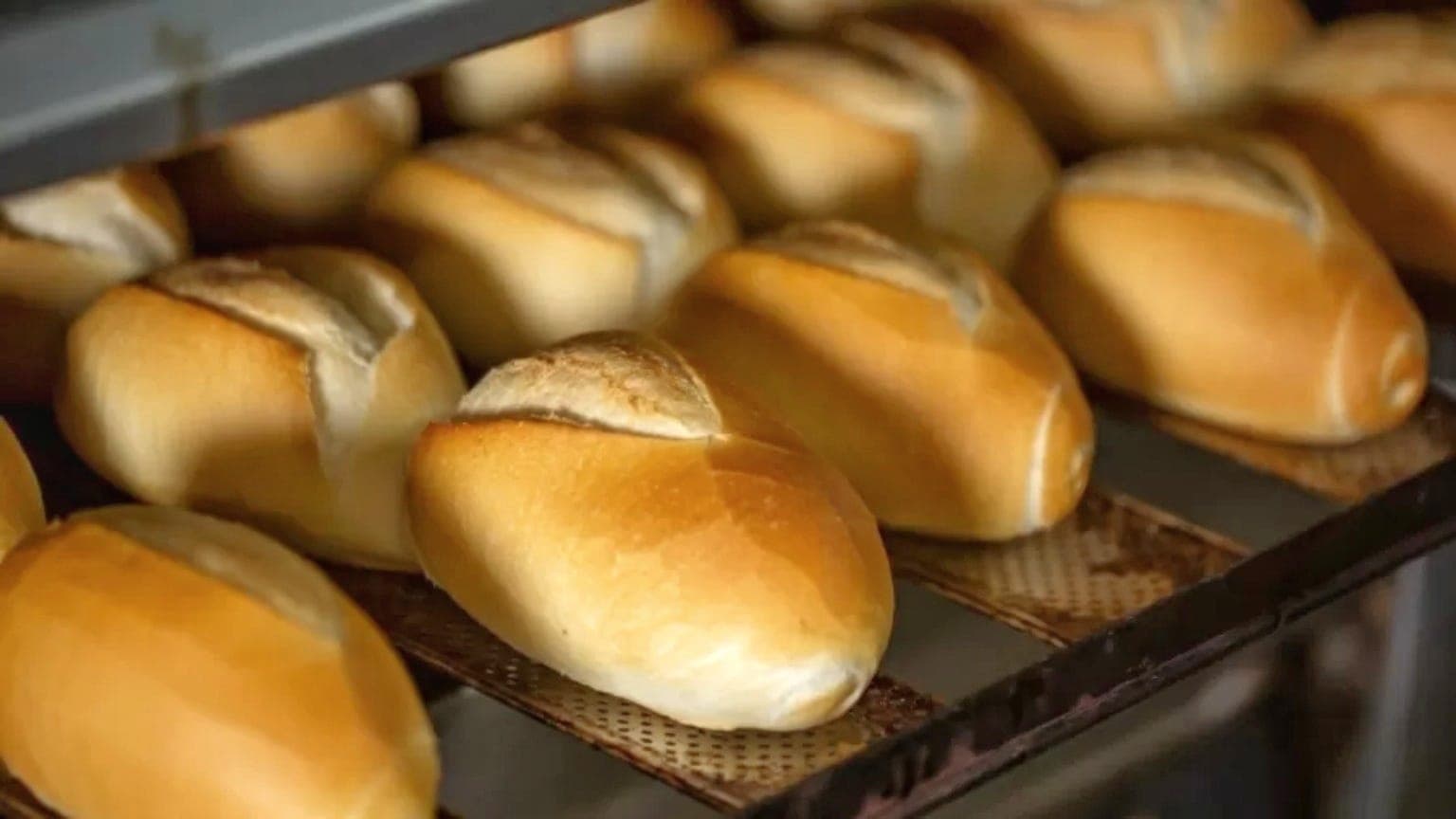 Galeria Café pra Obra