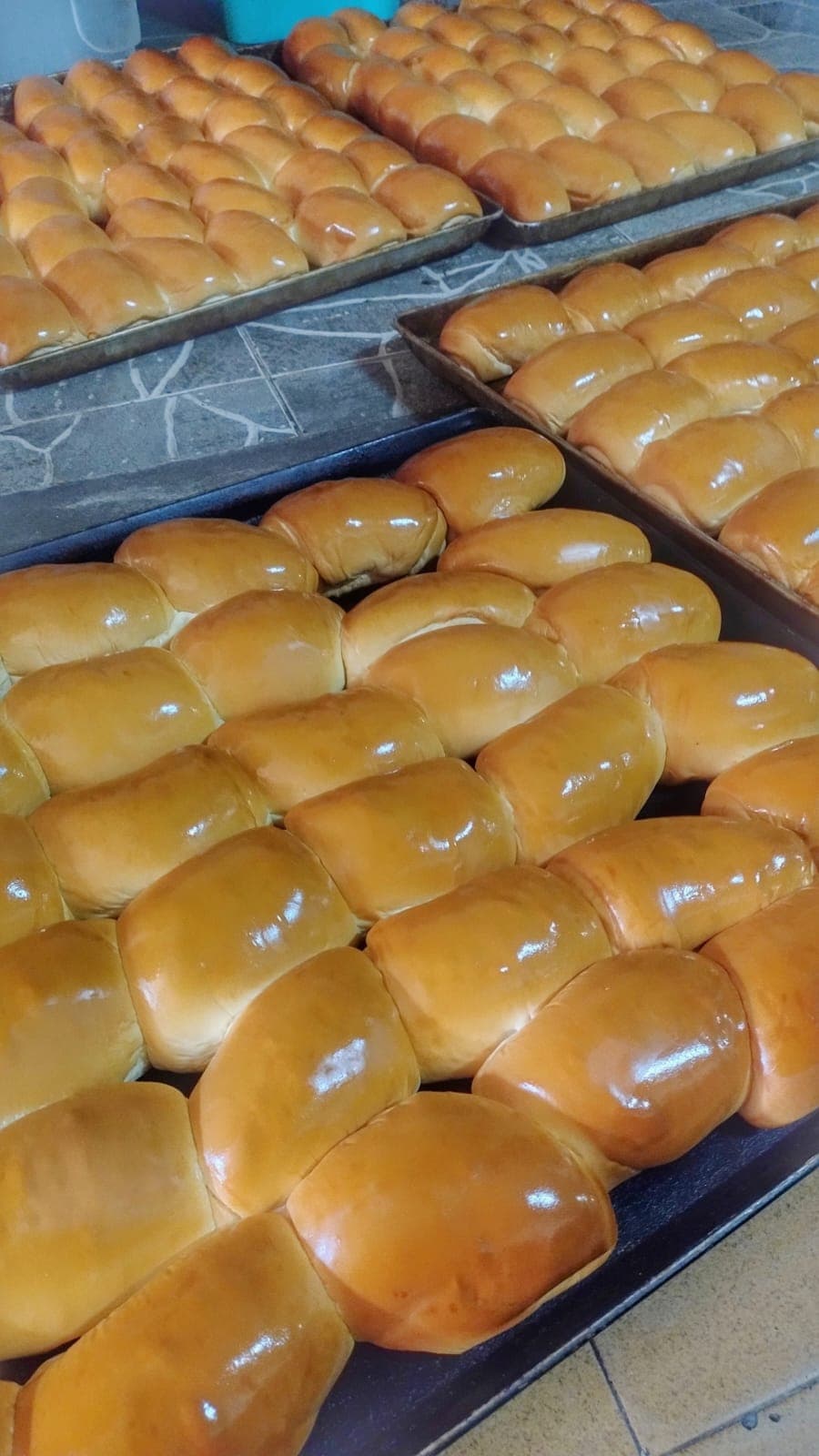 Galeria Café pra Obra